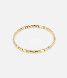 Bracelet / SBJ24847-01UNI5-S