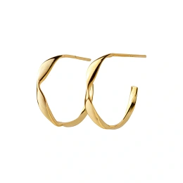 Earring / 8262003D