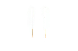 Skagen Earring / SKJ1079998