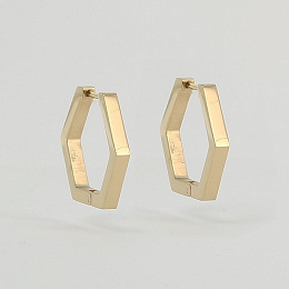 Zag Bijoux Surgical Stainless Steel Earring / SEC13932-01UNI