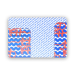 Passport Holder / 10-PASS-PUL-17-06-08