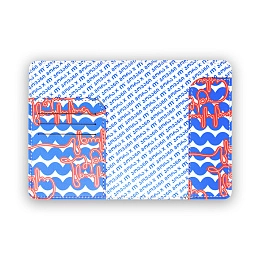Passport Holder / 10-PASS-PUL-17-06-08