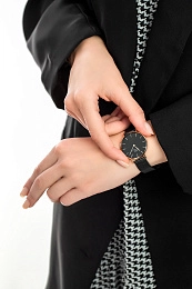 QuartzWristwatch/DW00100201