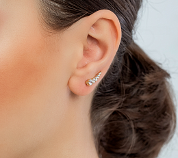 Earring/22977G
