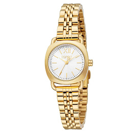 Quartz Wristwatch / ES1L473M0055