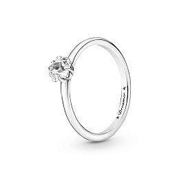 Moments Ring/190026C01-50