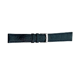 Watch Strap/A01X2053372060CR16