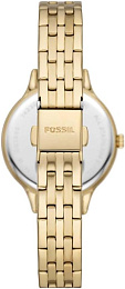 Quartz Wristwatch / BQ3863
