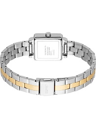 Quartz Wristwatch / ES1L498M0055