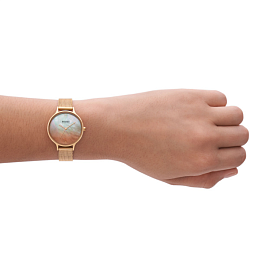 Skagen Quartz Wristwatch Women/SKW3107