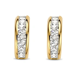 Earring / 9NBG-0396
