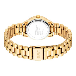 Quartz Wristwatch / ES1L486M0055