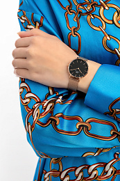 QuartzWristwatch/DW00100161