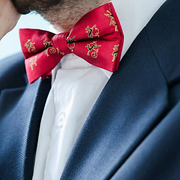 Bow Tie / 10-BTIE-SLK-11-08