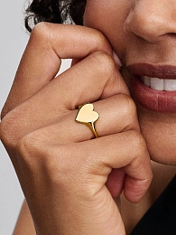 PANDORA Moments Ring / 163988C00-48