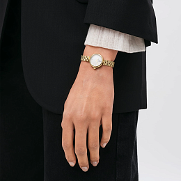 Daniel Wellington Quartz Watch Women/DW00100715
