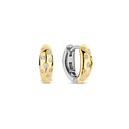 Earring / 78006ZY