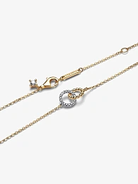 Pandora Signature ყელსაბამი და გულსაკიდი / 364825C01-45