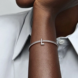 PANDORA Moments Charm / 797466
