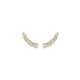 Earring/7319YZI