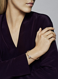 PANDORA Moments Charm / 797456