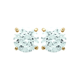 Earring / 25055105