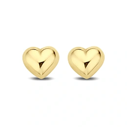 Earring / 9NBG-0068