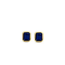 Earring/7893BY
