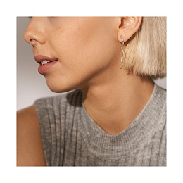 Skagen Stainless Steel Earring/SKJ1792040