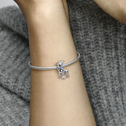 Charm/799643C01
