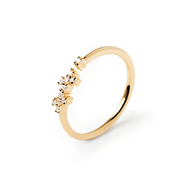 Ring / AN01-672-14