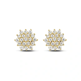 Earring / 9NBG-0086
