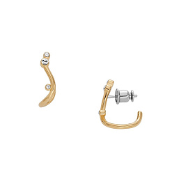 Skagen Stainless Steel Earring/SKJ1760710