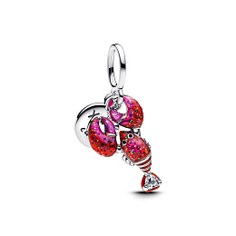 Pandora Moments Charm / 793676C01