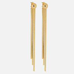 Earring / SEL21898-01UNI