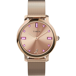 Quartz Wristwatch/TW2V52800