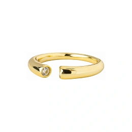 Ring / 4254016DC1