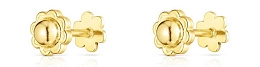 TOUS GOLD Earring / 111000960