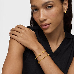 Bracelet / 1004477970