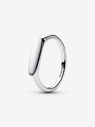 PANDORA Moments Ring / 193986C00-54