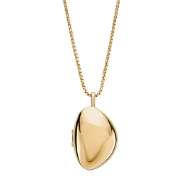 Skagen Stainless Steel Necklace/SKJ1752710