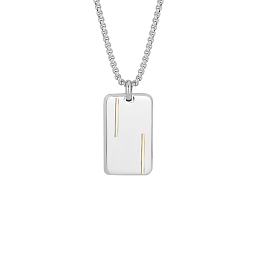 Stainless steel pendant necklace with 18kt gold (g