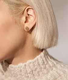Skagen Stainless Steel Earring/SKJ1761710