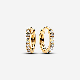 Earring/263015C01