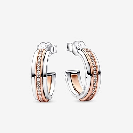 PANDORA Earring/282737C01