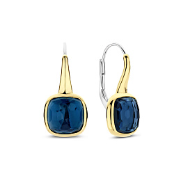 Earring / 7989DB