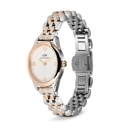 Quartz Wristwatch / DW00100810