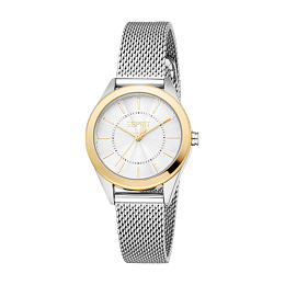 ESPRIT Women Watch, Two Tone Silver & Gold Color Case, Silver Dial, Silver Color Mesh Bracelet, 3 Ha