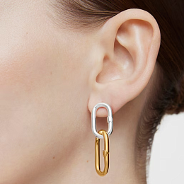 Earring/1004163600