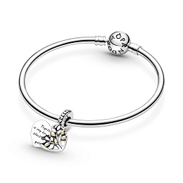 Moments Charm/799161C00